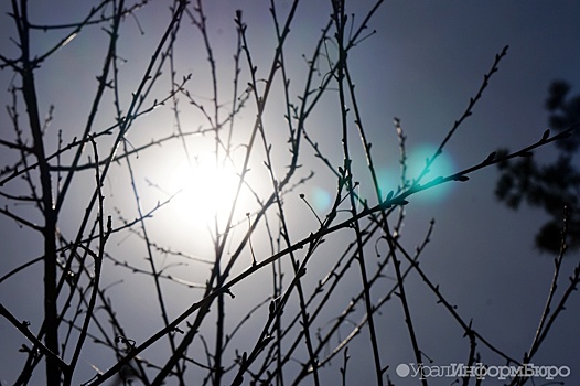 К "коронавирусным" выходным в Свердловской области существенно потеплеет