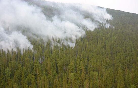 Сибирские пожары потушили искусственным дождем