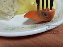 Гнилые овощи, червяк и при чём тут Мишустин? Соцсети говорят о школьной еде