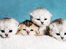 5 неожиданных способов сделать себе хорошо