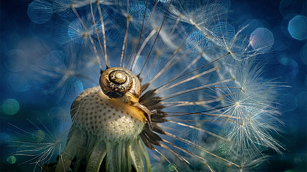 «Самая красивая страна»: начинается оценка снимков фотоконкурса РГО