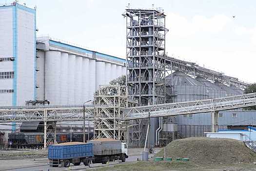 Лучший российский результат по валовому сбору ранних зерновых у Ростовской области: 11 млн 680 тысяч тонн зерна