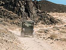 В России автомобилистам разрешат управлять болотоходами и багги