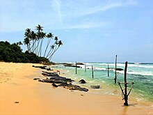 Российским туристам стали доступны недорогие билеты на Шри-Ланку