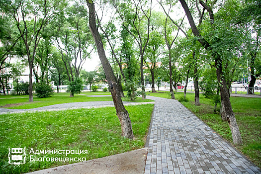 В Благовещенске на улице Калинина высадят молодые ясени