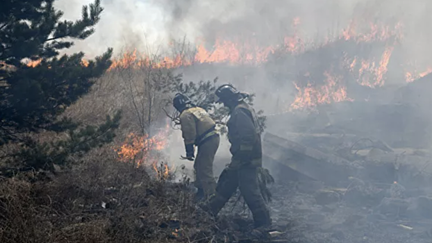 В Магаданской области объявили экстренное предупреждение из-за лесных пожаров