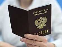 В правительстве вернулись к идее заменить бумажный паспорт смарт-картой