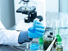 Ученые изучили влияние медитации на краткосрочную память