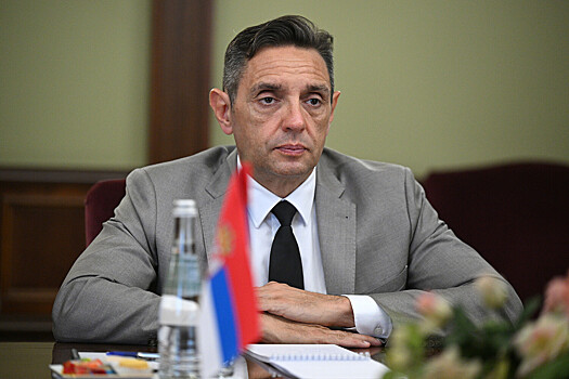 Вулин поблагодарил спецслужбы РФ за помощь в борьбе с цветной революцией