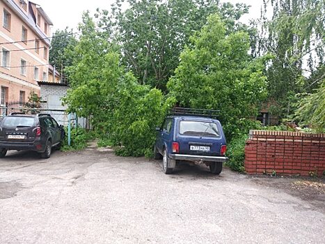 Непогода устроила древопад в Калуге