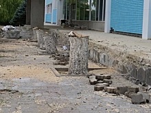 В Ростове у бассейна «Волна» собственник срубил многолетние ели