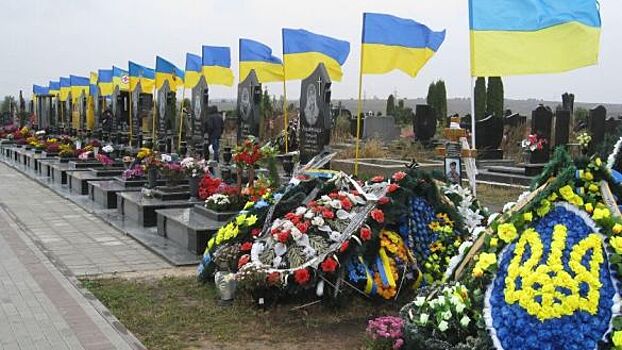 Фото украинских кладбищ военных с флагами