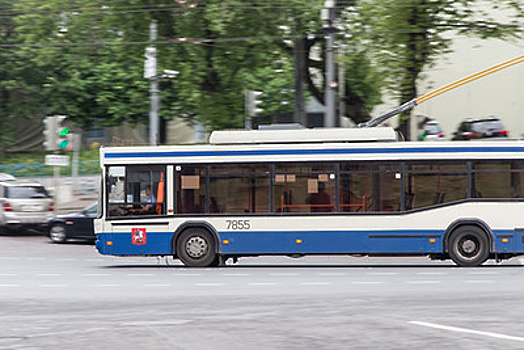 Движение троллейбусов №53 задерживается на шоссе Энтузиастов из-за упавшего на контактную сеть дерева