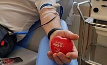 День донора: Дмитрий Башаров рассказал о правильной сдаче крови