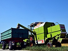 В системе &laquo;Зерно&raquo; зарегистрировалось 70% зерновых организаций РФ