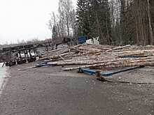 Груженный лесовоз опрокинулся на трассе в Удмуртии