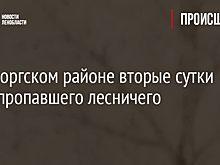 В Выборгском районе вторые сутки ищут пропавшего лесничего