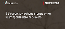 В Выборгском районе вторые сутки ищут пропавшего лесничего