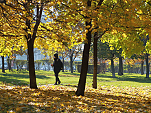 Москвичей предупредили об аномальных температурах