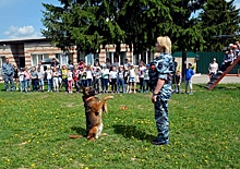 В Смоленске школьники побывали в гостях у полицейских-кинологов