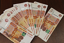 Саратовчанка добилась компенсации морального вреда на 800 тысяч рублей от чиновников после падения ветки