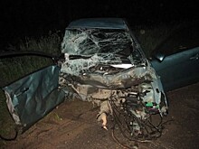 ДТП с четырьмя погибшими, будущий митинг дольщиков, мясо с отклонениями и другие новости выходных