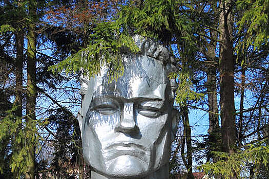 Жители Мамоново призвали убрать бюст Героя СССР, похожий на Шварценеггера