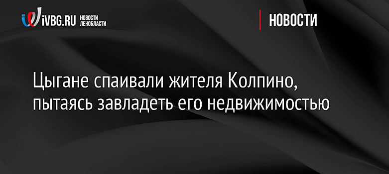 Цыгане спаивали жителя Колпино, пытаясь завладеть его недвижимостью