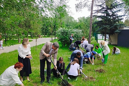 В Волгограде высадили 80 саженцев в рамках акции «Сирень Победы»