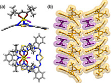 Синтетический аналог пигмента крови поможет создавать устройства для хранения больших объемов данных