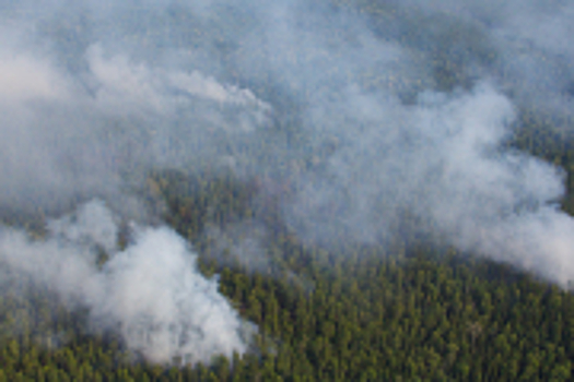 В Бодайбинском районе Иркутской области сняли режим ЧС, вводившийся из-за лесных пожаров