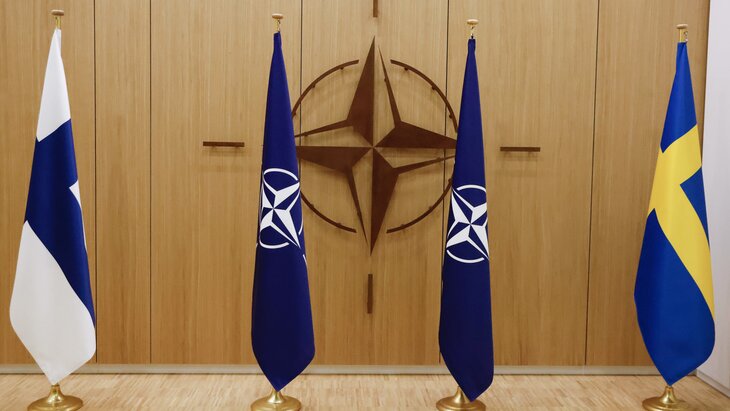 Чавушоглу: Турция может отдельно оценить заявки Финляндии и Швеции в НАТО