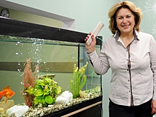 Школы искусств получают новые стены и инструменты