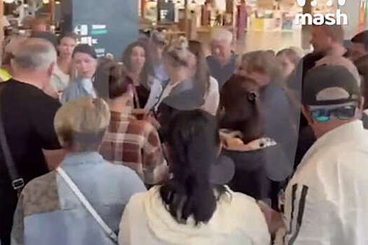 Mash: около ста российских туристов шесть часов ждут вылета из Бодрума в Минводы