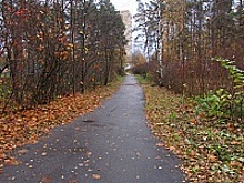 По обращению жительницы отремонтировали дорожки в 5 микрорайоне