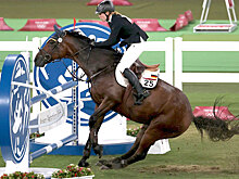 В преддверии года лошади. Что-то кони мне попались привередливые