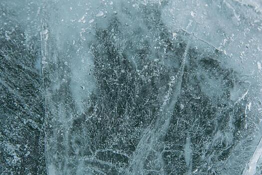 В Байкале нашли древние вирусы, не имеющие аналогов в мире