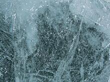 В Байкале нашли древние вирусы, не имеющие аналогов в мире