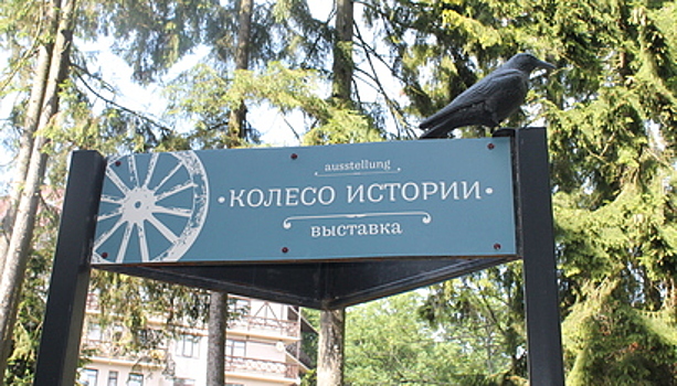 Молочный сторожок и каретный чемодан: что хранится в светлогорском музее "Колесо истории"