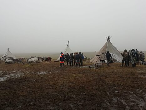 На Ямале следователи завели дело после исчезновения в тундре девочки-подростка