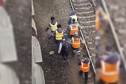 В Подмосковье мужчина попал под поезд и выжил