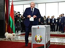 В Белоруссии избрали президента. Лукашенко победил с двадцатикратным перевесом