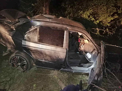 На скорости врезался в дерево: под Волгоградом в ДТП погиб 30-летний водитель