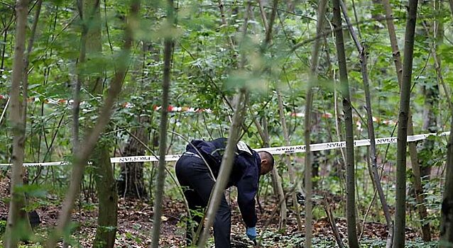 В Ивановской области компаньоны убили депутата-бизнесмена и закопали тело в лесу