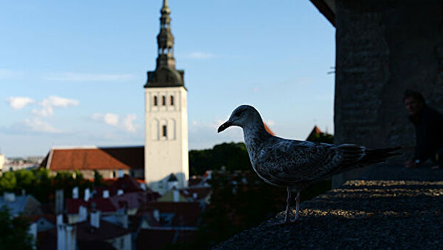 В Эстонии начался экономический кризис