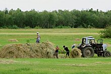 В Якутии приняли все меры по преодолению дефицита сена из-за засухи