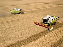 Мишустин оценил обеспеченность России зерном