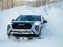 Дилеры назвали топ-8 лучших автомобилей 2024 года