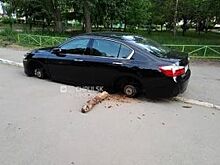 В Заволжском районе Ульяновска неизвестные оставили иномарку без колёс