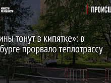"Машины тонут в кипятке": в Петербурге прорвало теплотрассу